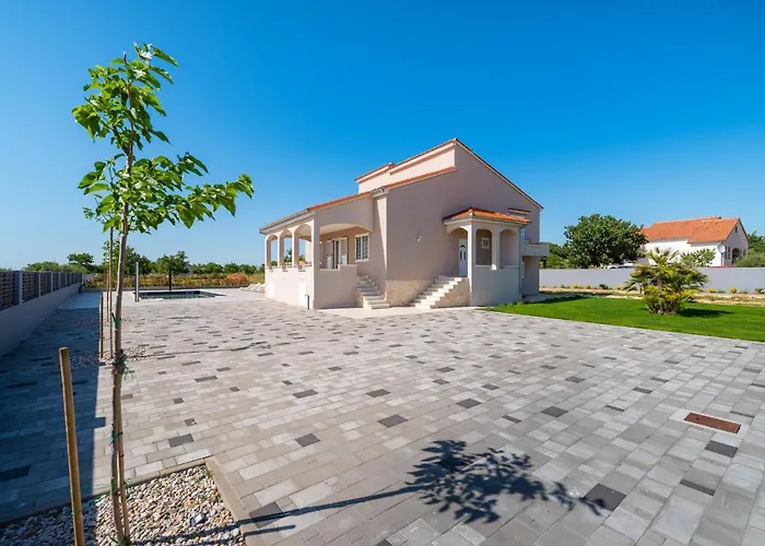 Dalmatia Bei *